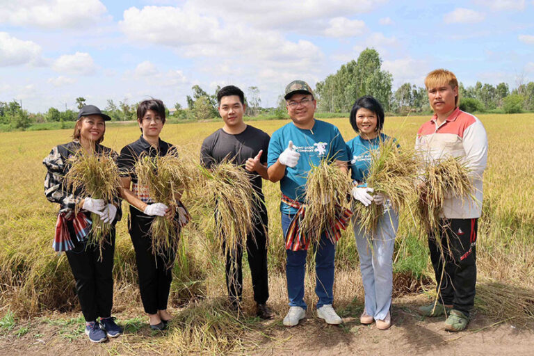 DMT ร่วมลงแขกเกี่ยวข้าว